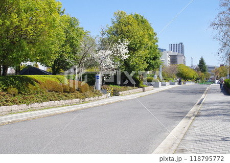 広島市中央公園の通りの景色 広島市中央公園の通りの景色 118795772