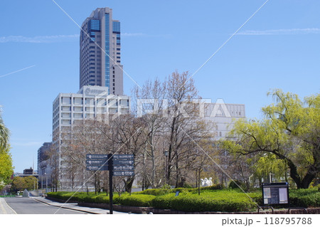 中央公園から眺めた広島の高層ビル 118795788