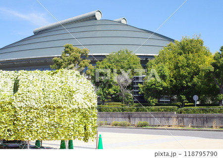 広島中央公園に佇むアリーナ 118795790