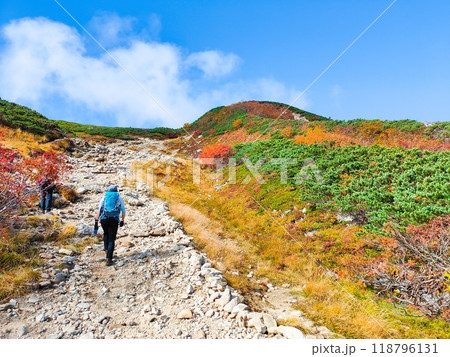 秋の唐松岳登山(八方池~丸山) 秋の唐松岳登山(八方池~丸山) 118796131
