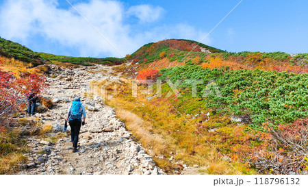 秋の唐松岳登山(八方池~丸山) 秋の唐松岳登山(八方池~丸山) 118796132