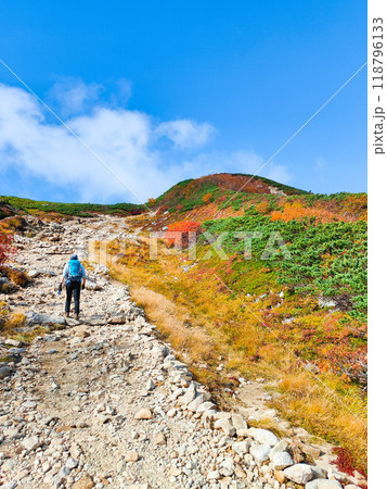 秋の唐松岳登山(八方池~丸山) 秋の唐松岳登山(八方池~丸山) 118796133