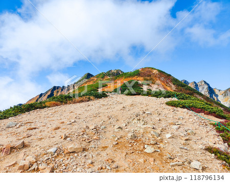 秋の唐松岳登山(丸山~山頂) 秋の唐松岳登山(丸山~山頂) 118796134