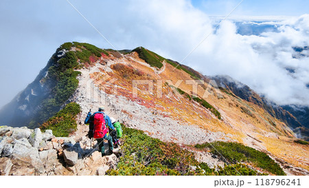 秋の唐松岳登山（丸山～山頂） 118796241
