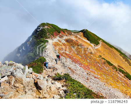 秋の唐松岳登山(丸山~山頂) 秋の唐松岳登山(丸山~山頂) 118796243