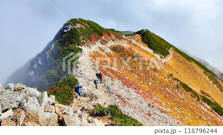 秋の唐松岳登山(丸山~山頂) 秋の唐松岳登山(丸山~山頂) 118796244