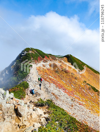 秋の唐松岳登山(丸山~山頂) 秋の唐松岳登山(丸山~山頂) 118796245