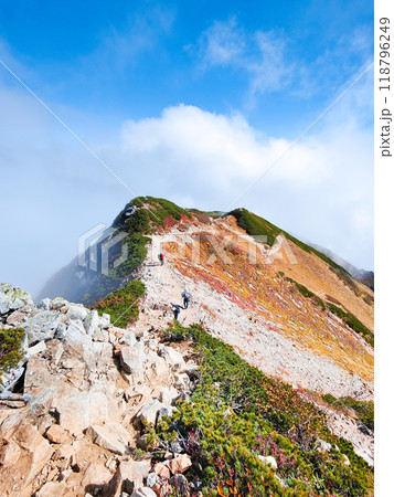 秋の唐松岳登山（丸山～山頂） 118796249