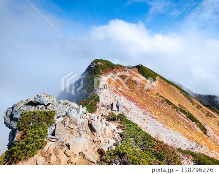 秋の唐松岳登山(丸山~山頂) 秋の唐松岳登山(丸山~山頂) 118796276