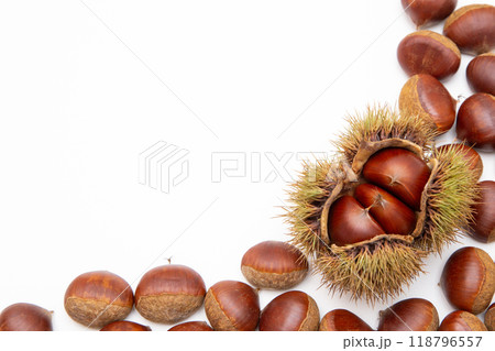 栗 クリ コピースペース 栗 クリ コピースペース 118796557
