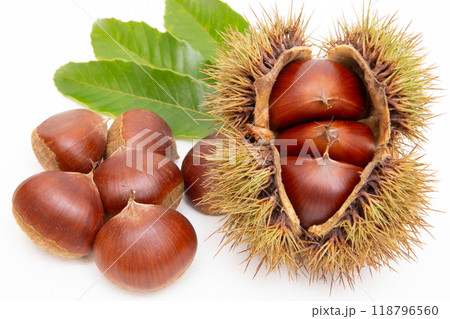 栗　クリ　 118796560