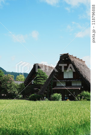 【縦写真】白川郷の美しい風景 118796888