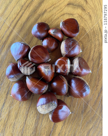 秋、里山で実った栗を収穫 118797295