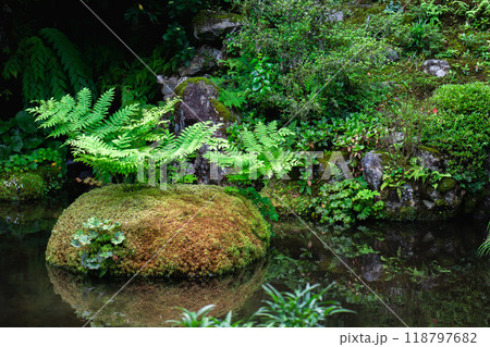 京都市左京区大原勝林院町　実光院（魚山大原寺の僧房）　庭園（契心園）　庭園観賞 118797682