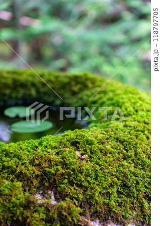 京都市左京区大原勝林院町　実光院（魚山大原寺の僧房）　旧理覚院庭園 118797705