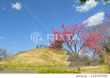 横浜・本牧山頂公園 118797849