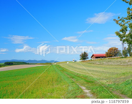 北海道の絶景 秋の美瑛の丘 新栄の丘 118797859