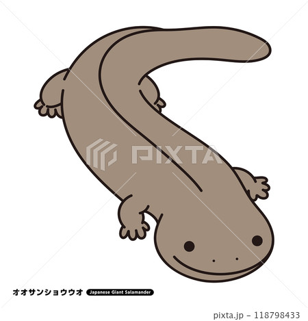 オオサンショウウオ イラスト オオサンショウウオ イラスト 118798433