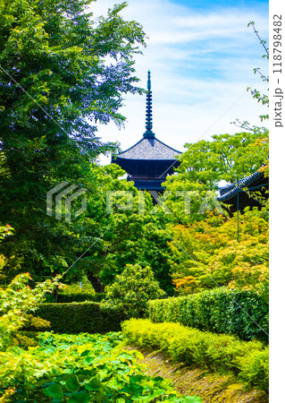 【京都風景】東寺　流れる雲と五重塔 118798482