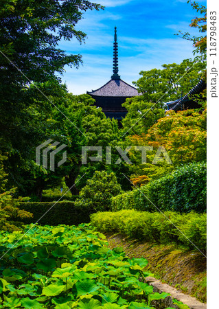 【京都風景】東寺　流れる雲と五重塔 118798483