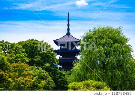 【京都風景】東寺 流れる雲と五重塔 【京都風景】東寺 流れる雲と五重塔 118798486