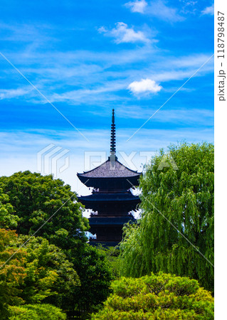 【京都風景】東寺 流れる雲と五重塔 【京都風景】東寺 流れる雲と五重塔 118798487