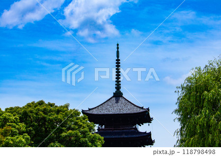 【京都風景】東寺 流れる雲と五重塔 【京都風景】東寺 流れる雲と五重塔 118798498
