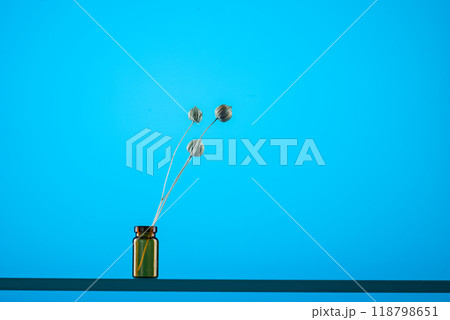 Dry wood in a small ampoule. Abstraction from a plant. Blue background. Front view. 118798651