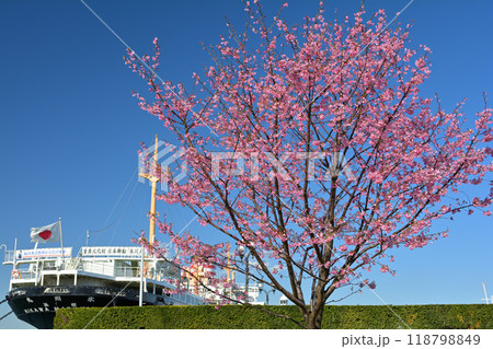 横浜・山下公園 118798849