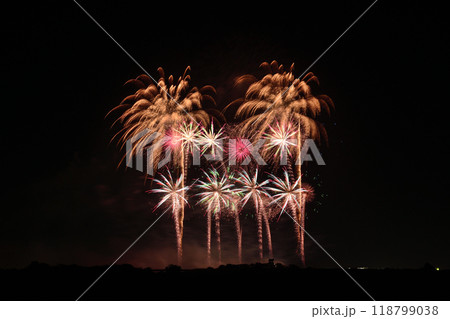 四大花火師の饗宴　＜利根川大花火大会2024＞ 118799038