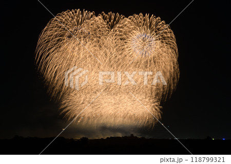 四大花火師の饗宴　＜利根川大花火大会2024＞ 118799321