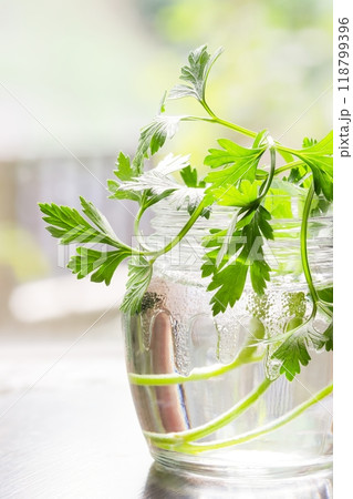 ガラス瓶に生けたイタリアンパセリ 118799396