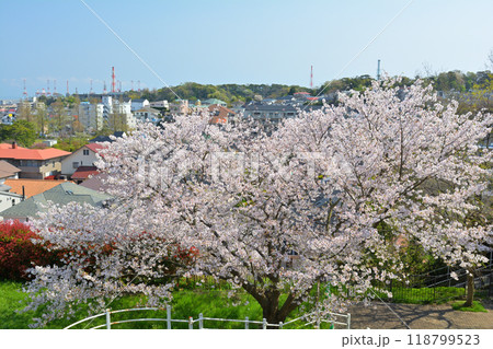 横浜・本牧山頂公園 横浜・本牧山頂公園 118799523