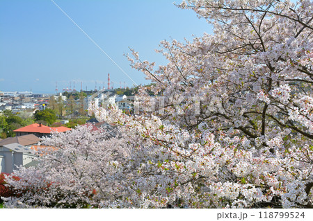 横浜・本牧山頂公園 118799524