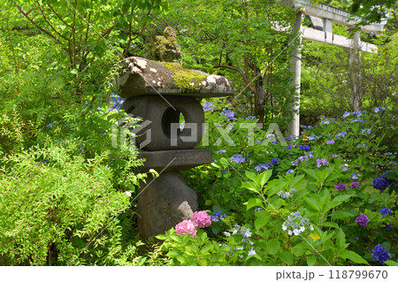 日本100名城・小諸城 日本100名城・小諸城 118799670