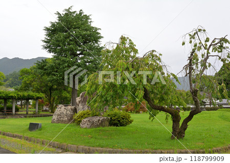 日本100名城・松代城 118799909