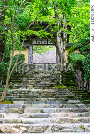 京都市左京区大原草生町 寂光院(平家物語ゆかりの尼寺) 山門と石段 京都市左京区大原草生町 寂光院(平家物語ゆかりの尼寺) 山門と石段 118799970