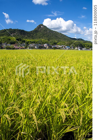 広島県呉市郷原町の城山（岩山）の麓に広がる田園風景 118800005