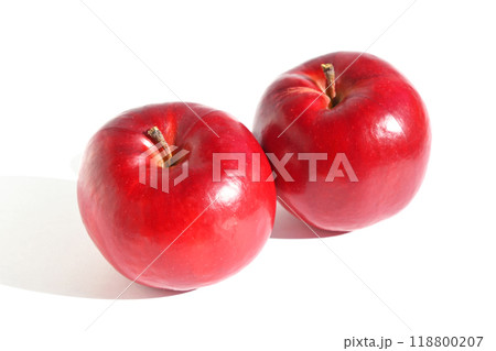 りんご（紅の夢） 118800207