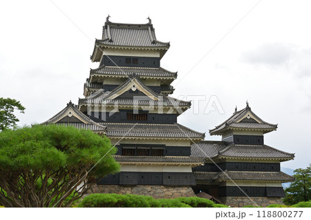 日本100名城・松本城 118800277