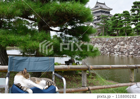 日本100名城・松本城 日本100名城・松本城 118800282