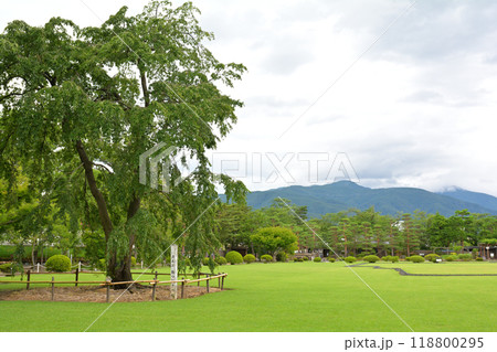 日本100名城・松本城 118800295