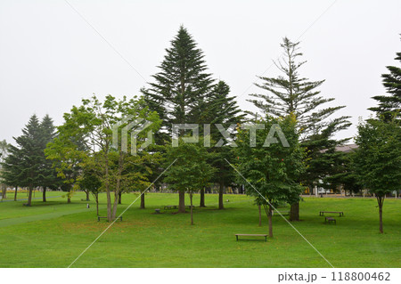 軽井沢 アウトレットモール 軽井沢 アウトレットモール 118800462