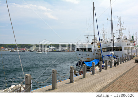 神奈川・三崎港 118800520