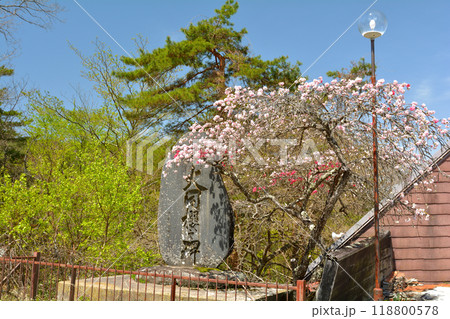 長野・杖突峠 118800578