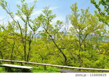 日本100名城・高遠城 日本100名城・高遠城 118800629