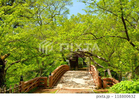 日本100名城・高遠城 118800632