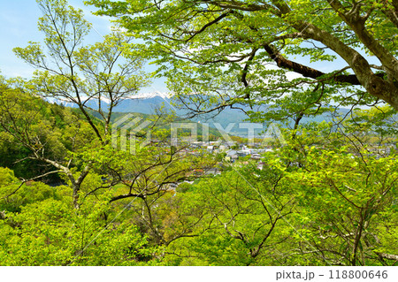 日本100名城・高遠城 118800646