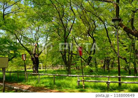 日本100名城・高遠城 日本100名城・高遠城 118800649