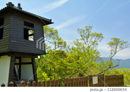 日本100名城・高遠城 118800650